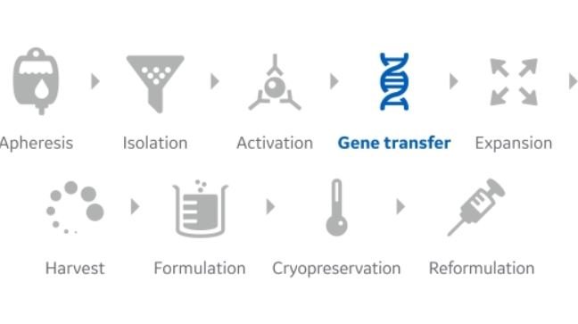 GE Healthcare Life Sciences releases software for cell therapy workflow